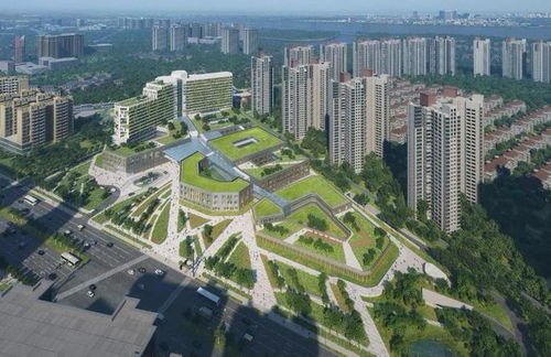 同頻共振融入 十四五 融僑集團堅定以 醫食住教 服務美好生活