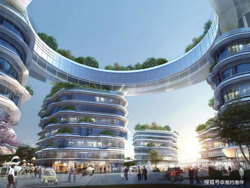 長沙 天空之廳 大澤湖海歸小鎮研發中心項目效果圖出爐