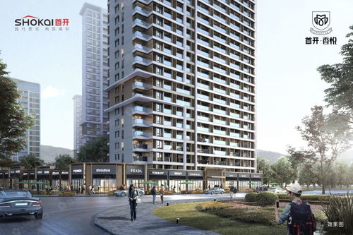 首開香悅圖片 樣板間 裝修效果圖