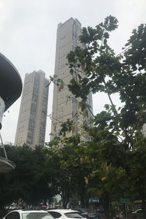 世茂茶亭臻園綜合評析：優點、不足及周邊中介評價