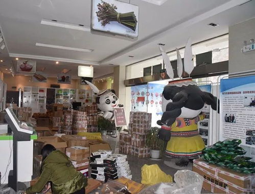 整合規范物流快遞，打造電商生態體系下的普通貨物倉儲服務新格局